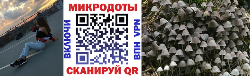 как найти закладки  ОМГ ОМГ зеркало  Псилоцибиновые грибы GOLDEN TEACHER  Дмитров 