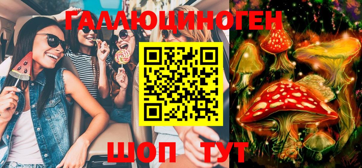 Галлюциногенные грибы мицелий  Дмитров  Галлюциногенные грибы Psilocybine cubensis 