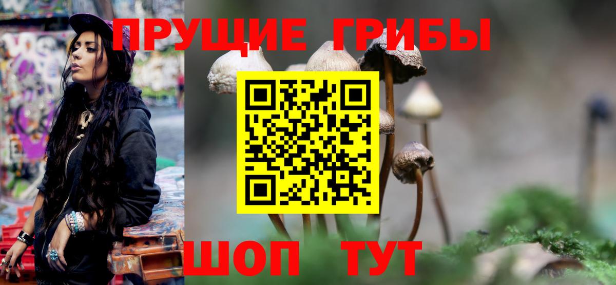 Галлюциногенные грибы Magic Shrooms  Вход с VPN  Дмитров 